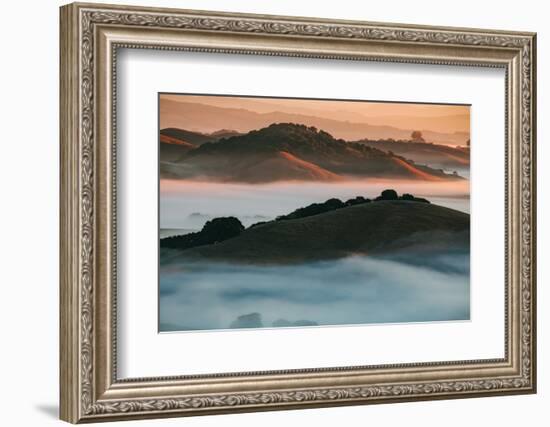 Warm Light and Cool Fog, Morning in Petaluma California-Vincent James-Framed Photographic Print