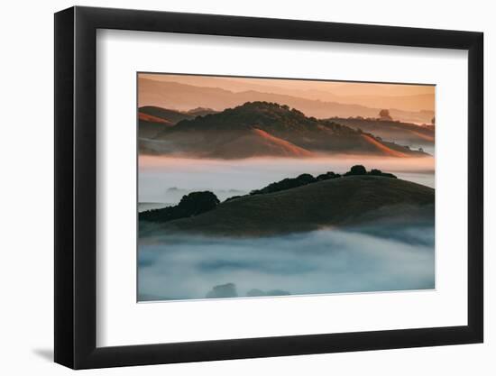 Warm Light and Cool Fog, Morning in Petaluma California-Vincent James-Framed Photographic Print