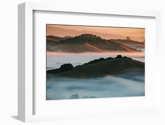 Warm Light and Cool Fog, Morning in Petaluma California-Vincent James-Framed Photographic Print