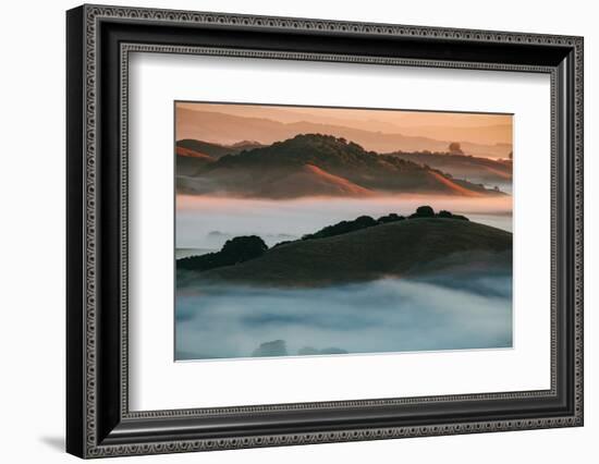 Warm Light and Cool Fog, Morning in Petaluma California-Vincent James-Framed Photographic Print