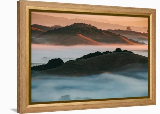Warm Light and Cool Fog, Morning in Petaluma California-Vincent James-Framed Premier Image Canvas