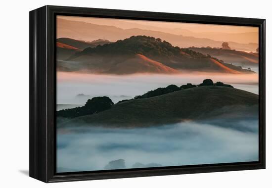 Warm Light and Cool Fog, Morning in Petaluma California-Vincent James-Framed Premier Image Canvas