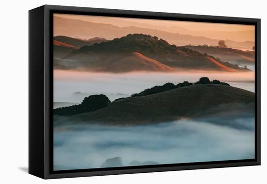 Warm Light and Cool Fog, Morning in Petaluma California-Vincent James-Framed Premier Image Canvas