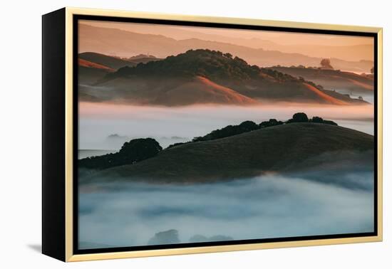 Warm Light and Cool Fog, Morning in Petaluma California-Vincent James-Framed Premier Image Canvas