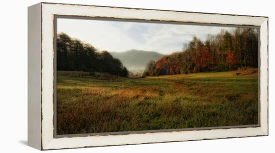 Warm Morning Light-Danny Head-Framed Stretched Canvas