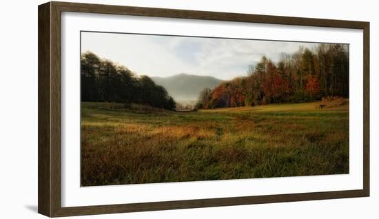 Warm Morning Light-Danny Head-Framed Photographic Print