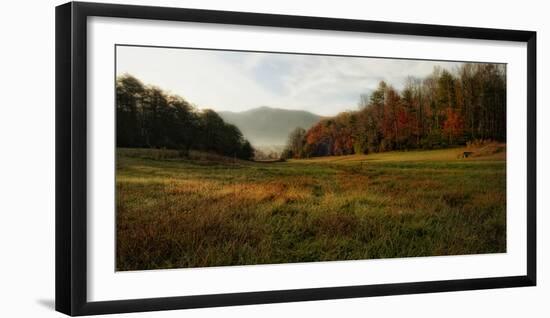 Warm Morning Light-Danny Head-Framed Photographic Print