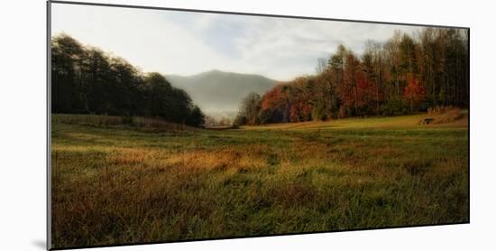 Warm Morning Light-Danny Head-Mounted Photographic Print