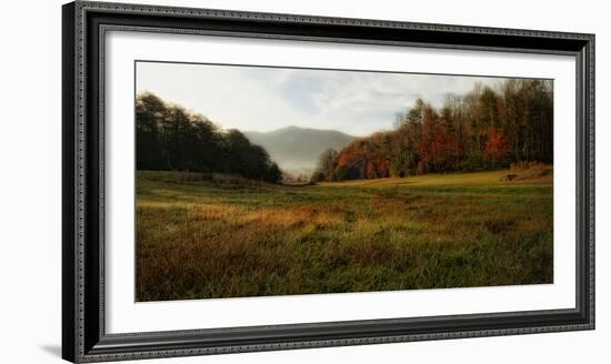 Warm Morning Light-Danny Head-Framed Photographic Print