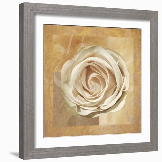 Warm Rose II-Lucy Meadows-Framed Giclee Print