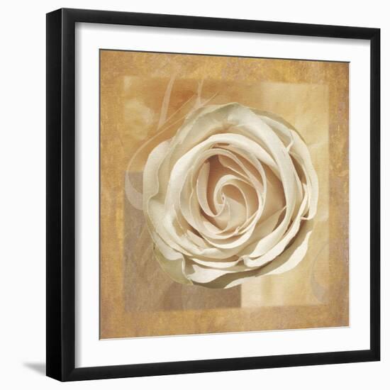 Warm Rose II-Lucy Meadows-Framed Giclee Print