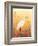 Warm Sky-Christine Reichow-Framed Art Print