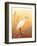 Warm Sky-Christine Reichow-Framed Art Print