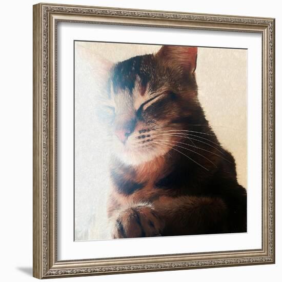 Warm Spot, 2018-Helen White-Framed Giclee Print