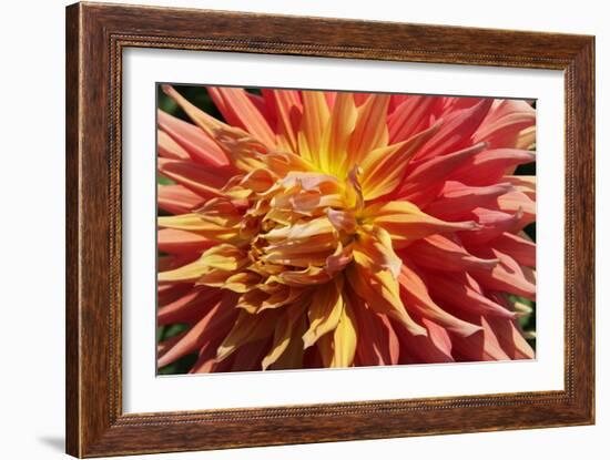 Warm Sun I-Maureen Love-Framed Photographic Print