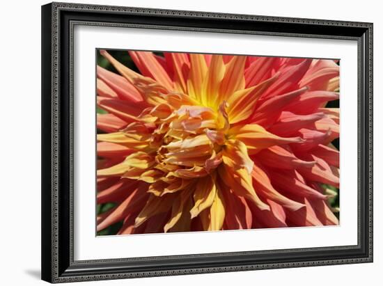 Warm Sun I-Maureen Love-Framed Photographic Print