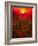 Warm sunset-Marco Carmassi-Framed Photographic Print