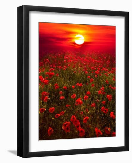 Warm sunset-Marco Carmassi-Framed Photographic Print