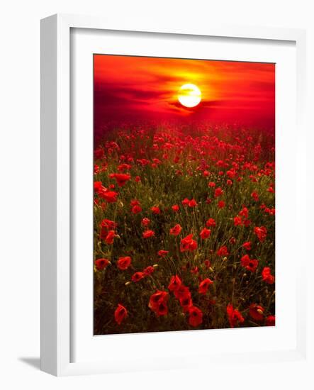 Warm sunset-Marco Carmassi-Framed Photographic Print