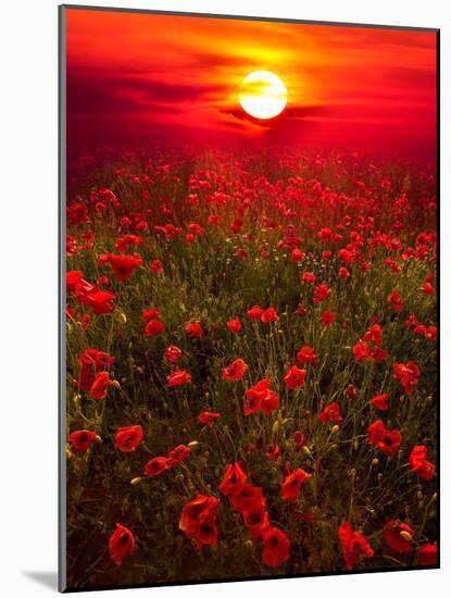 Warm sunset-Marco Carmassi-Mounted Photographic Print