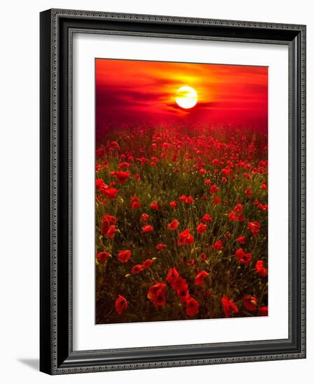 Warm sunset-Marco Carmassi-Framed Photographic Print