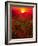 Warm sunset-Marco Carmassi-Framed Photographic Print