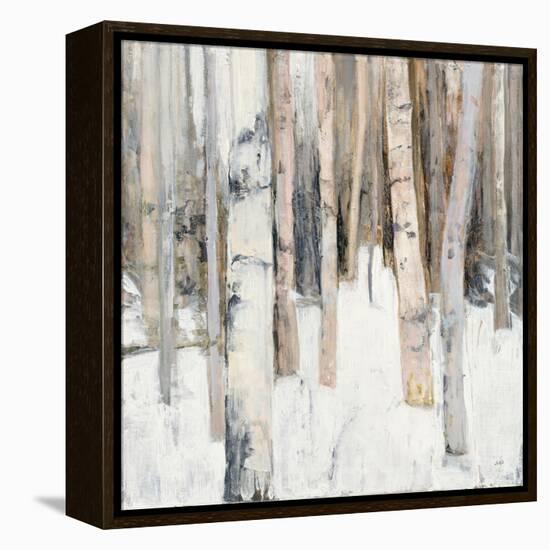 Warm Winter Light I-Julia Purinton-Framed Stretched Canvas