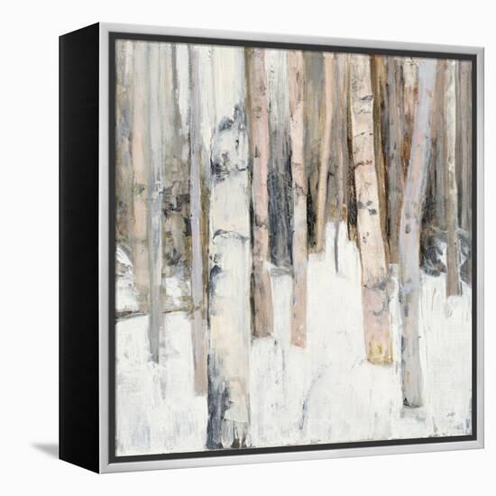 Warm Winter Light I-Julia Purinton-Framed Stretched Canvas