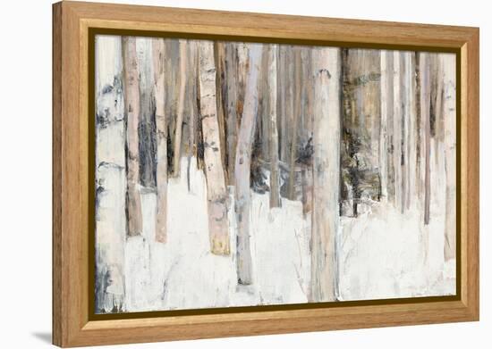 Warm Winter Light III-Julia Purinton-Framed Stretched Canvas