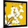 Warm Yellow Money Plant-Herb Dickinson-Mounted Photographic Print