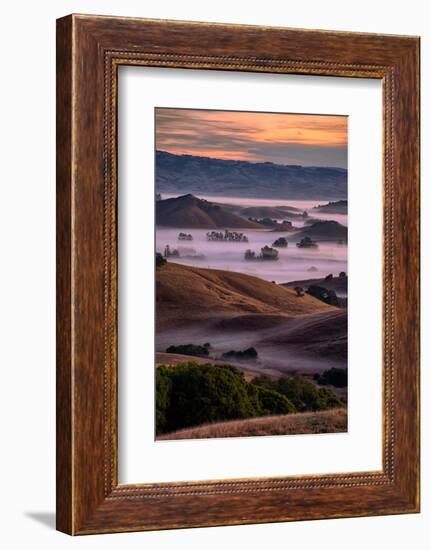 Warn Magic Morning, Petaluma Country, Sonoma County-Vincent James-Framed Photographic Print