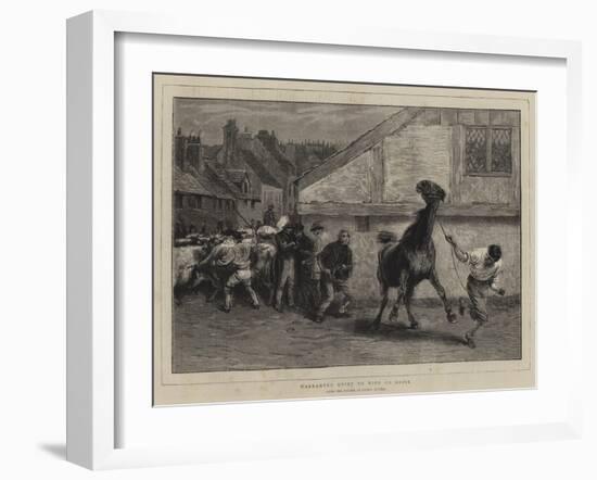 Warranted Quiet to Ride or Drive-Briton Riviere-Framed Giclee Print