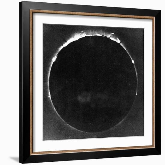 Warren De La Rue's Photograph of Total Solar Eclipse at Rivabellosa, Spain, 18 July 1860-Warren De La Rue-Framed Giclee Print