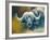 Warrior - African Cape Buffalo-Kim Thompson-Framed Giclee Print