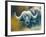 Warrior - African Cape Buffalo-Kim Thompson-Framed Giclee Print