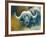 Warrior - African Cape Buffalo-Kim Thompson-Framed Giclee Print