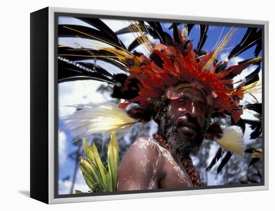 Warrior at Sing Sing Festival, Feathers from a Bird of Paradise, Papua New Guinea, Oceania-Keren Su-Framed Premier Image Canvas