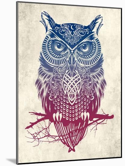 Warrior Owl-Rachel Caldwell-Mounted Art Print
