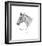 Warrior's Head-Sir Alfred Munnings-Framed Premium Giclee Print