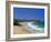 Warriwood, One of Sydney's Northern Surf Beaches, Sydney, New South Wales, Australia-Robert Francis-Framed Photographic Print