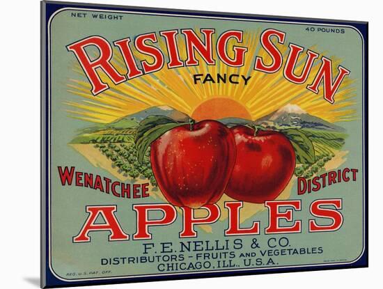 Warshaw Collection of Business Americana Food; Fruit Crate Labels, F.E. Nellis & Co.-null-Mounted Art Print