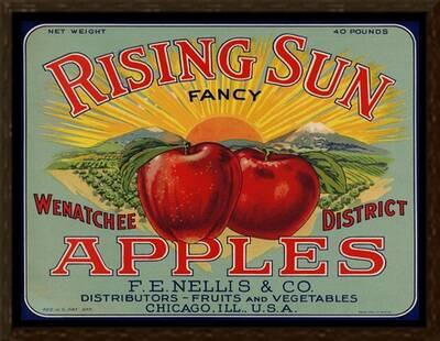 warshaw collection of business americana food fruit crate labels f e nellis co art print art com