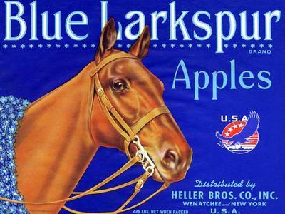 ORIGINAL CRATE LABEL BLUE LARKSPUR WENATCHEE HORSE VINTAGE THOROUGHBRED RACING 