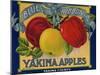 Warshaw Collection of Business Americana Food; Fruit Crate Labels, Yakima Horticultural Union-null-Mounted Art Print