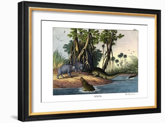 Warthog, 1860-null-Framed Giclee Print