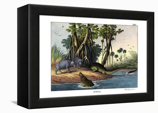 Warthog, 1860-null-Framed Premier Image Canvas