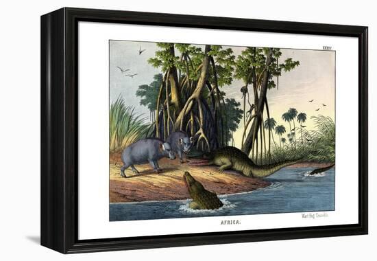 Warthog, 1860-null-Framed Premier Image Canvas