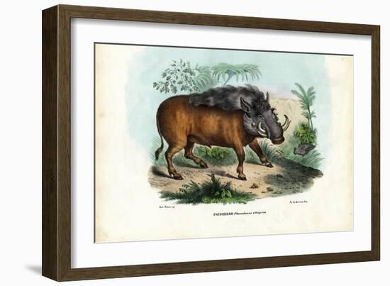 Warthog, 1863-79-Raimundo Petraroja-Framed Giclee Print