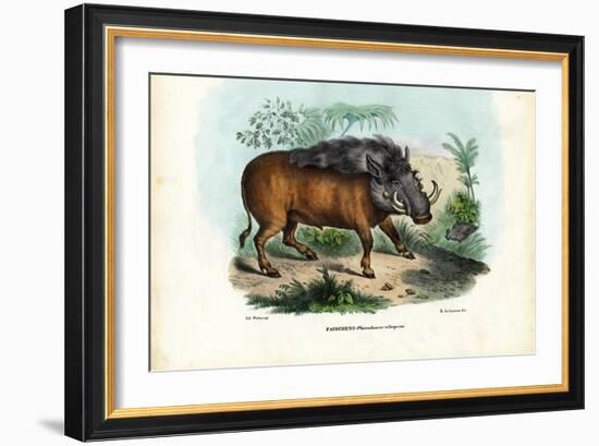 Warthog, 1863-79-Raimundo Petraroja-Framed Giclee Print
