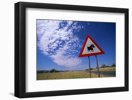 Warthog Crossing Sign-Paul Souders-Framed Photographic Print